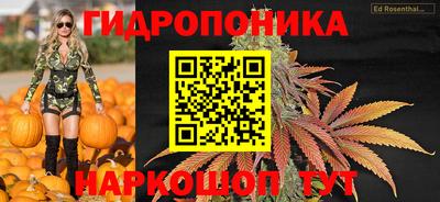 крисы Волжск