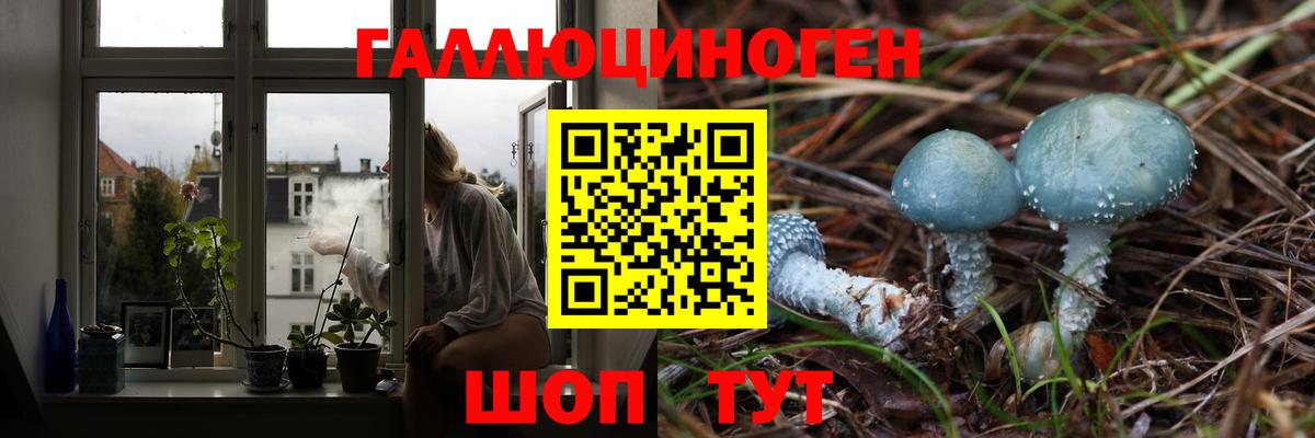 Псилоцибиновые грибы прущие грибы  Вход с VPN  закладки  Галлюциногенные грибы GOLDEN TEACHER  Кинешма 