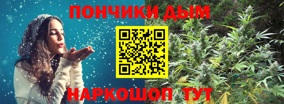 Каннабис сатива Кинешма
